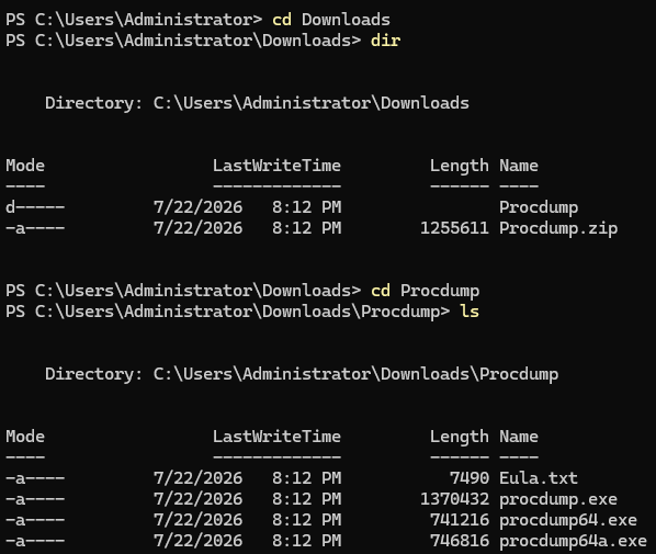 Terminal navigated into the extracted ProcDump folder