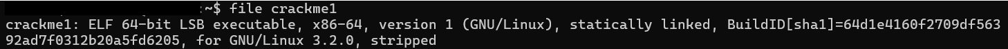 file command output showing ELF 64-bit statically linked stripped binary