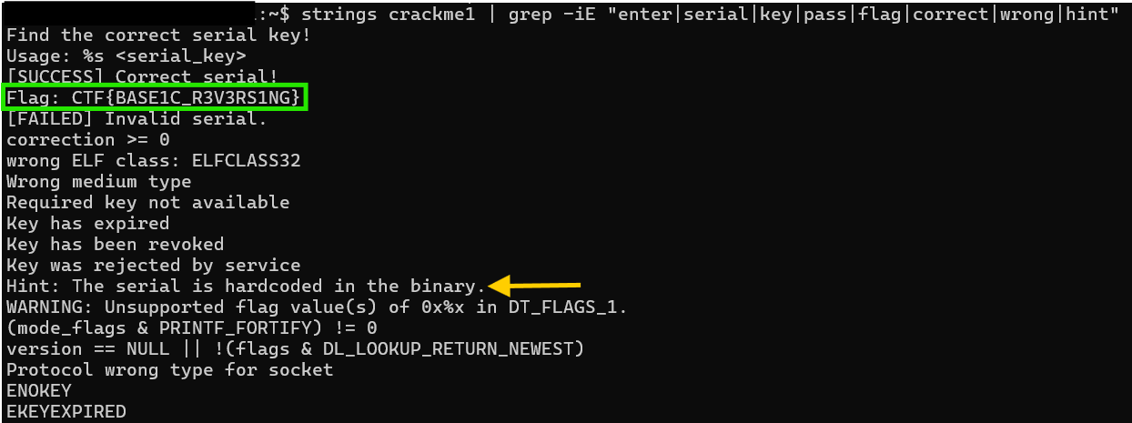 strings output showing user-facing messages including the flag and a hint